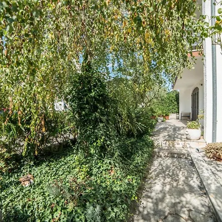 Apartment Ferienwohnung Fuer 3 Personen Ca 40 Qm In Cervar-porat, Istrien Istrische Riviera
